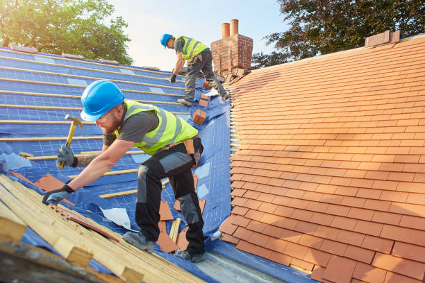 Best Roof Insulation Installation  in Prospect, PA